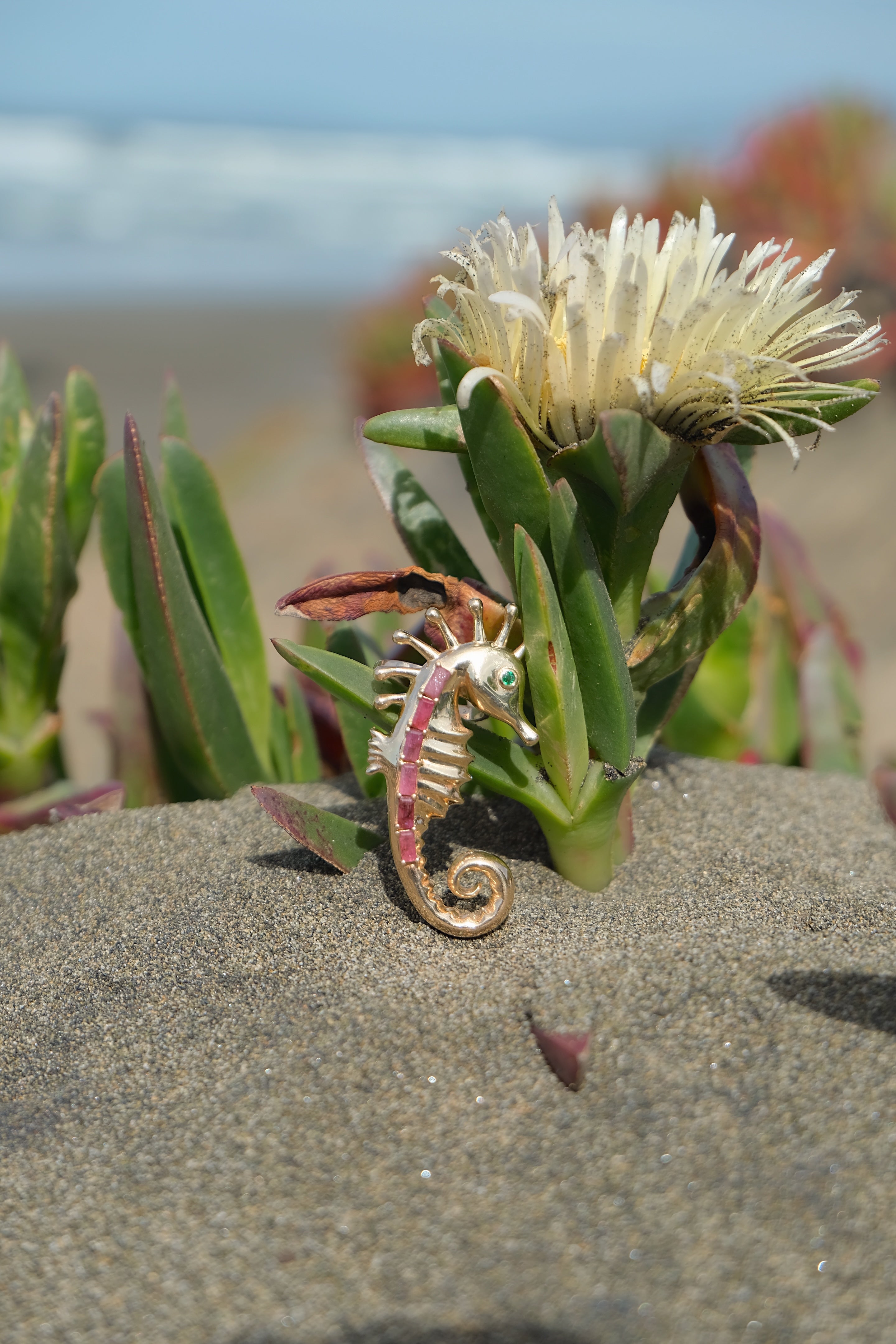 Seahorse Brooch